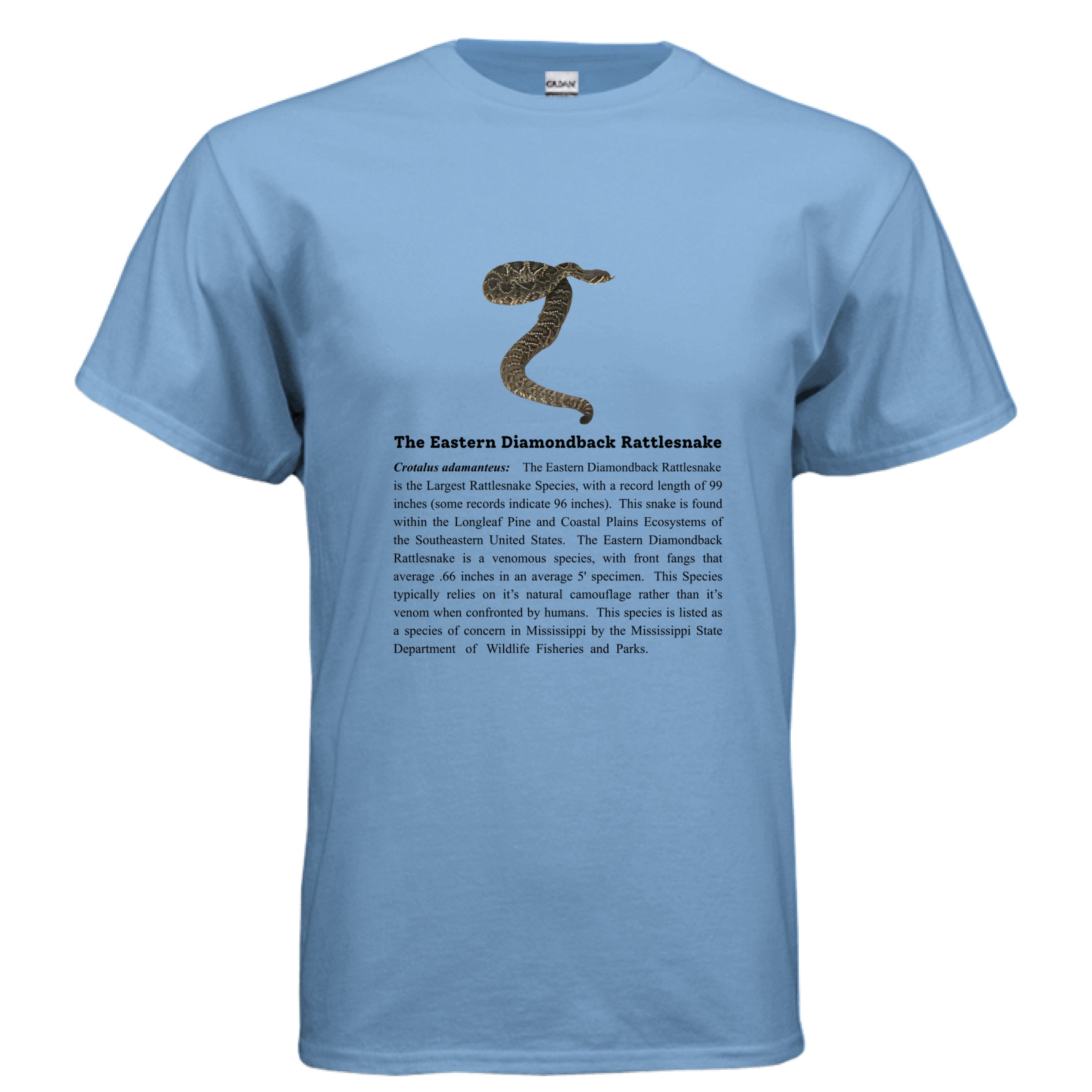 CAROLINA BLUE - FRONT